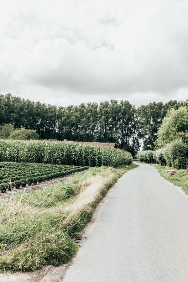 Maison Francois Varsenare Eksteriør bilde